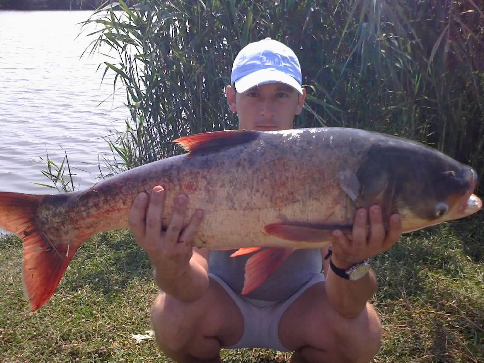 pescuit - poze-005.jpg